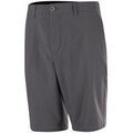 Shorts/Bermuda sur Grenoble : Short Island Green PB239