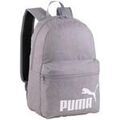 Sacs &agrave; dos sur Grenoble : Sac a dos Puma Phase 090118