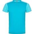 Tee-shirts sur Grenoble : T-shirt Roly Zolder