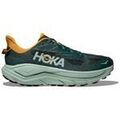 Running sur Grenoble : Chaussures Hoka 1168716-BFSG