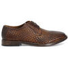 Richelieu Caf&eacute; Noir C1RM1120 Marron
