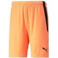 Jeans/Pantalons sur Grenoble : Pantalon Puma Teamliga