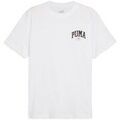 Tee-shirts sur Grenoble : T-shirt Puma Squad Tee