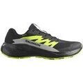 Chaussures Salomon Alphaglide Gtx
