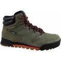 Randonn&eacute;e sur Grenoble : Chaussures adidas Terrex Snowpitch multicolor