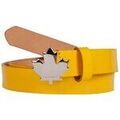 Ceintures sur Grenoble : Ceinture Dsquared BEW00237047