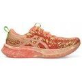 Running sur Grenoble : Chaussures Asics Noosa Tri 16