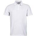 Polo Head Classic