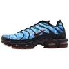 Baskets basses Nike Air Max Plus