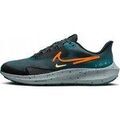 Running sur Grenoble : Chaussures Nike Air Zoom Pegasus 39 Shield