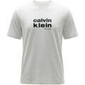 T-shirt Calvin Klein Jeans SS 30S WHSL CKJ JERS LV04RE821G Grenoble
