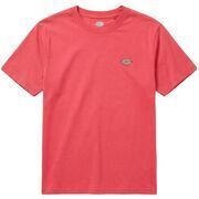 T-shirt Dickies MAPLETON SS TEE