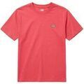 Tee-shirts sur Grenoble : T-shirt Dickies MAPLETON SS TEE