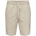 Shorts/Bermuda sur Grenoble : Short Only & Sons SHORT HOMME - SILVER LINING - L