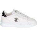 Baskets homme sur Grenoble : Baskets basses Roberto Cavalli 30768ECALFPASHA
