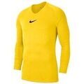 Tee-shirts sur Grenoble : T-shirt Nike Dry Park First Layer