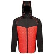 Veste Regatta Modular Thermal