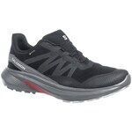 Chaussures Salomon Hypulse Gtx