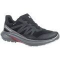 Running sur Grenoble : Chaussures Salomon Hypulse Gtx