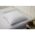 Linge de maison sur Grenoble : Taies d'oreillers, traversins Belledorm BM175