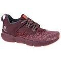 Running sur Grenoble : Chaussures Salomon Predict Soc W