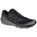 Running sur Grenoble : Chaussures Salomon Sense Ride 4 Gtx