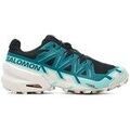 Running sur Grenoble : Chaussures Salomon Speedcross 6 Gtx