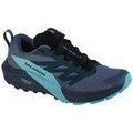 Chaussures Salomon Sense Ride 5 Gtx Grenoble