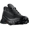 Running sur Grenoble : Chaussures Salomon Alphacross 5