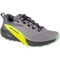 Running sur Grenoble : Chaussures Salomon Sense Ride 5