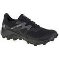 Chaussures Salomon Wildcross 2 Gtx