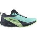 Running sur Grenoble : Chaussures Salomon Sense Ride 5 Gtx