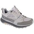 Chaussures Jack Wolfskin Terraquest Texapore Gris