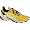 Running sur Grenoble : Chaussures Salomon Supercross 4