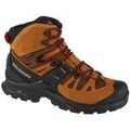 Randonn&eacute;e sur Grenoble : Chaussures Salomon Quest 4 Gtx multicolor