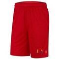 Pantalons sur Grenoble : Pantalon Nike Air Jordan Dna Shorts