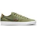 Skate & rollers sur Grenoble : Chaussures de Skate Nike SB Blazer Court Dvdl Daan Van Der Linden
