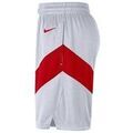 Jeans/Pantalons sur Grenoble : Pantalon Nike Nba Toronto Raptors Home