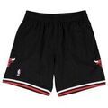 Jeans/Pantalons sur Grenoble : Pantalon Mitchell And Ness Nba Swingman