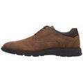 Chaussures sur Grenoble : Ville basse Limma ELON