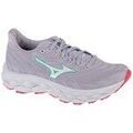 Running sur Grenoble : Chaussures Mizuno Wave Sky