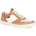 Baskets homme sur Grenoble : Baskets basses Kickers kick sackers