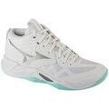 Running sur Grenoble : Chaussures Mizuno Wave Momentum Pro