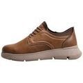 Chaussures de ville homme sur Grenoble : Derbies Limma TRINO