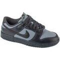 Baskets homme sur Grenoble : Baskets basses Nike Dunk Low Retro Se
