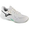 Chaussures Mizuno Wave Momentum Pro