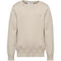 Pulls/Sweat sur Grenoble : Pull enfant U.S Polo Assn. US43573001