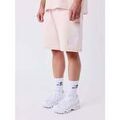 Shorts/Bermuda sur Grenoble : Short Project X Paris Short 2640305