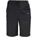 Short High Colorado -