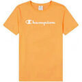 Tee-shirts sur Grenoble : T-shirt Champion classic Crewneck T-Shirt